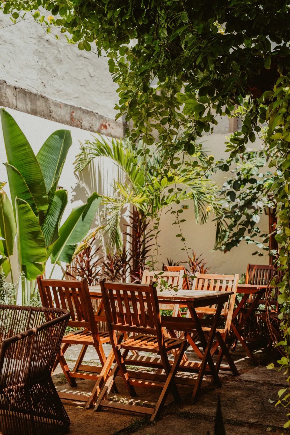Giardini Café — Jardim